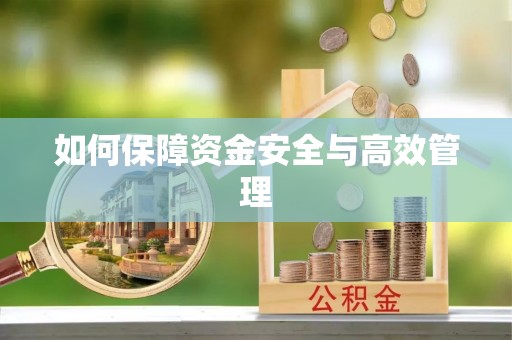 榆阳如何保障资金安全与高效管理