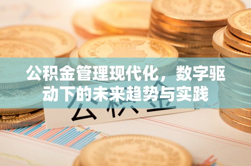 榆阳公积金管理现代化，数字驱动下的未来趋势与实践