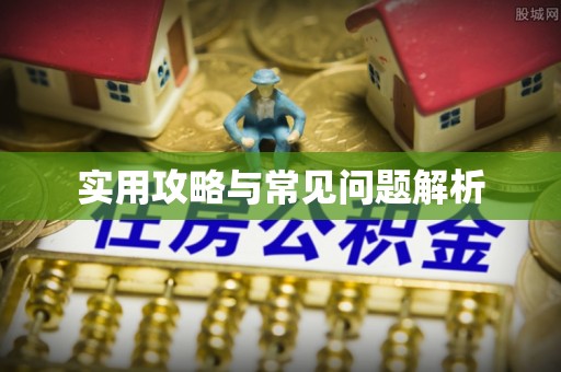 榆阳实用攻略与常见问题解析