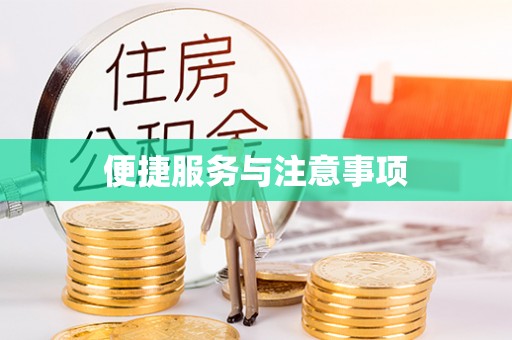 榆阳便捷服务与注意事项