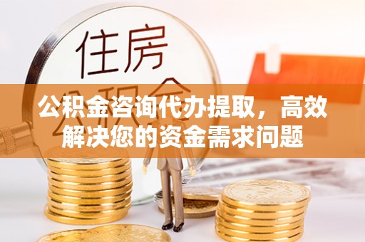 榆阳公积金咨询代办提取，高效解决您的资金需求问题