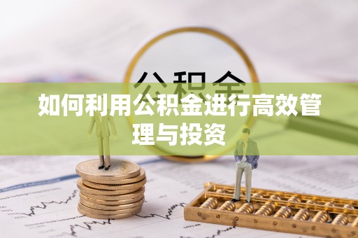 榆阳如何利用公积金进行高效管理与投资