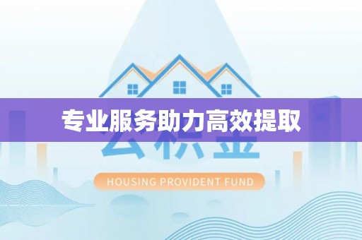 榆阳专业服务助力高效提取